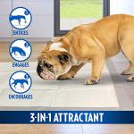 XXL Dog Pads - Absorbent Pet Training - 30 Count