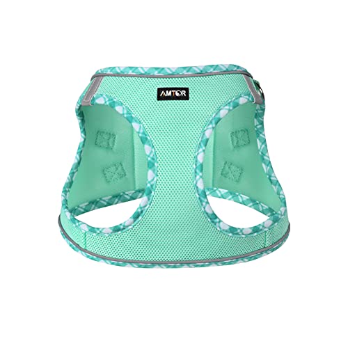 Adjustable Reflective Dog Harness with Leash Set (Green)