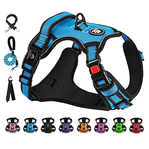 Adjustable Reflective Dog Vest Harness with Leash - Blue