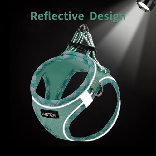 Adjustable Reflective Dog Harness with Leash Set (Green)