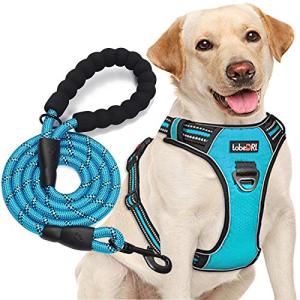 Adjustable Reflective Dog Harness & Leash Set - Blue