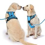 Adjustable Reflective Dog Vest Harness with Leash - Blue