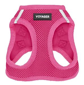 Voyager Mesh Step-in Dog Harness (Fuchsia, Small)