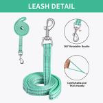 Adjustable Reflective Dog Harness with Leash Set (Green)