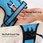 Adjustable Reflective Dog Vest Harness with Leash - Blue