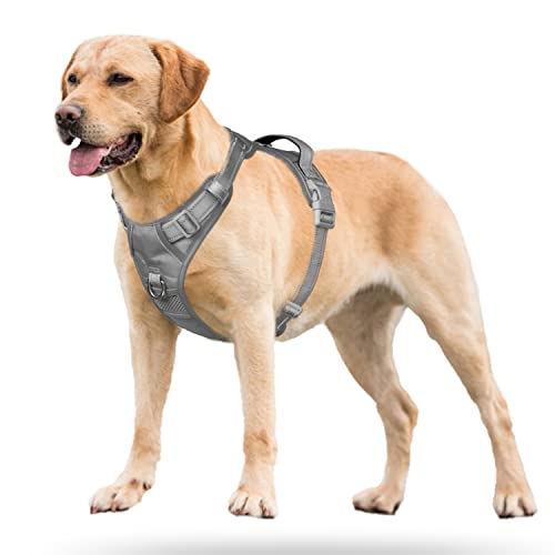Reflective Adjustable Dog Harness for Easy Control (Gray)