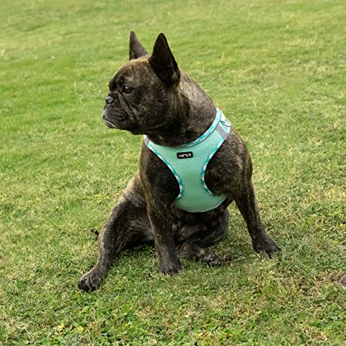 Adjustable Reflective Dog Harness with Leash Set (Green)
