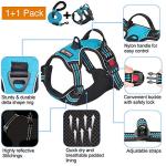 Adjustable Reflective Dog Harness & Leash Set - Blue