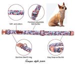 Stylish Metal Buckle Dog Collar for all Sizes