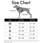 rabbitgoo No-Pull Dog Harness - Adjustable, Reflective Oxford