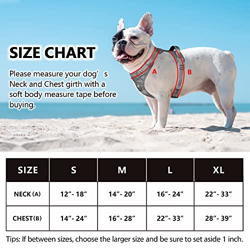 Reflective Adjustable Dog Harness for Easy Control (Gray)