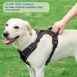 Adjustable Reflective Dog Harness & Leash Set - Blue