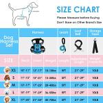 Adjustable Reflective Dog Vest Harness with Leash - Blue