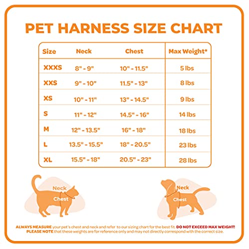 Voyager Mesh Step-in Dog Harness (Fuchsia, Small)