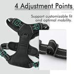rabbitgoo No-Pull Dog Harness - Adjustable, Reflective Oxford