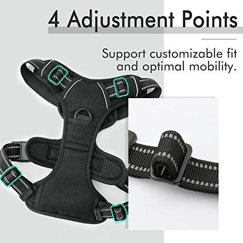 rabbitgoo No-Pull Dog Harness - Adjustable, Reflective Oxford