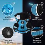 Adjustable Reflective Dog Vest Harness with Leash - Blue