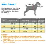 Adjustable Reflective Dog Harness & Leash Set - Blue