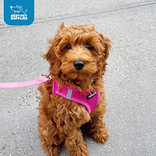 Voyager Mesh Step-in Dog Harness (Fuchsia, Small)