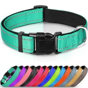 Reflective Neoprene Padded Dog Collar - Teal