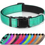 Reflective Neoprene Padded Dog Collar - Teal