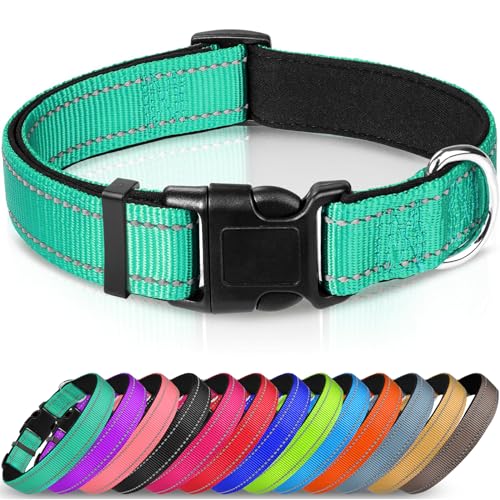 Reflective Neoprene Padded Dog Collar - Teal