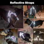 Reflective Dog Harness with Handle - M Size, Orange