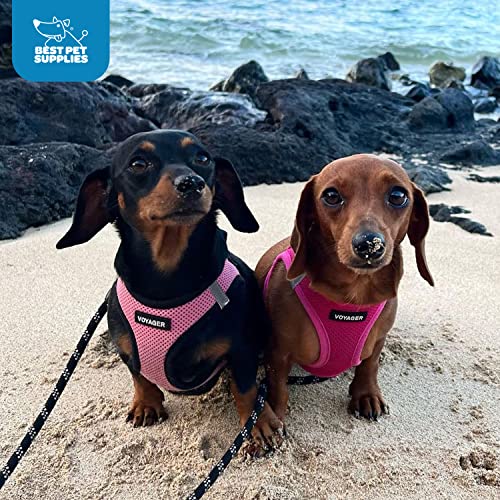 Voyager Mesh Step-in Dog Harness (Fuchsia, Small)