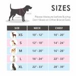 Reflective Dog Harness with Handle - M Size, Orange