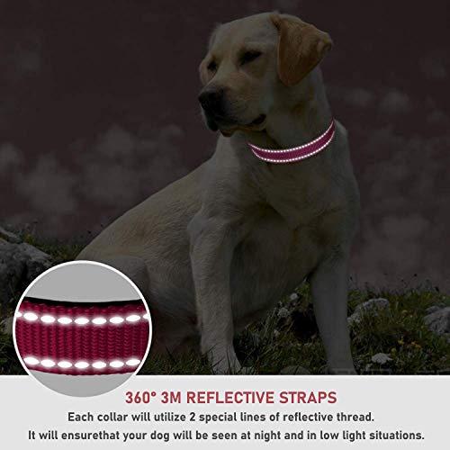 Pink Reflective Adjustable Dog Collar for All Sizes