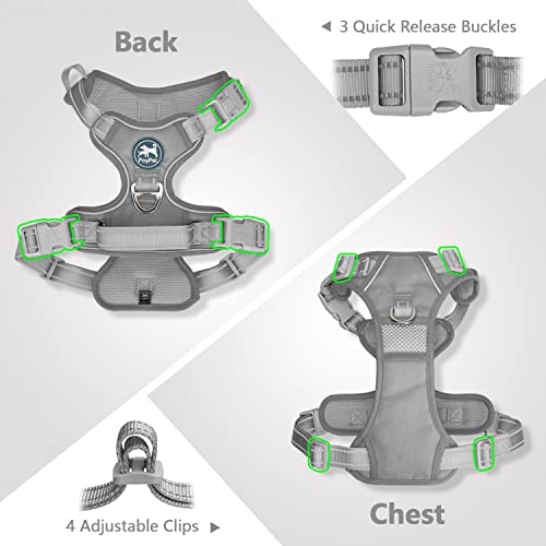 Reflective Adjustable Dog Harness for Easy Control (Gray)
