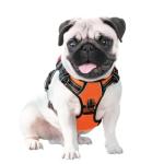 Reflective Dog Harness with Handle - M Size, Orange