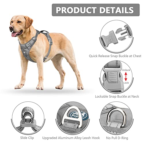 Reflective Adjustable Dog Harness for Easy Control (Gray)