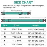 Reflective Neoprene Padded Dog Collar - Teal