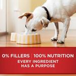 Purina ONE Wet Dog Food Chicken Brown Rice - (12) 13 oz. Cans