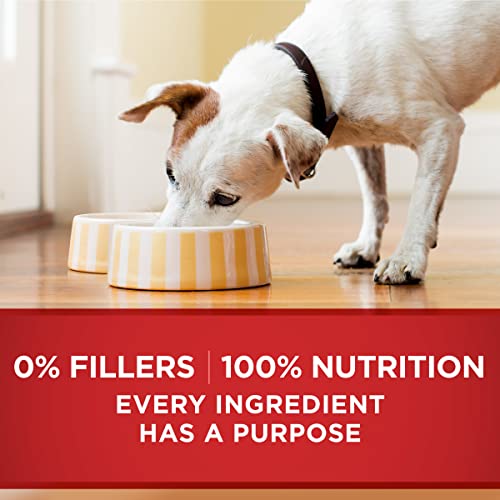 Purina ONE Wet Dog Food Chicken Brown Rice - (12) 13 oz. Cans