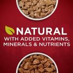 Protein-packed Wet Dog Food Variety Pack - Real Turkey, Venison, Chicken, and Duck