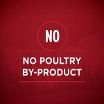 Protein-packed Wet Dog Food Variety Pack - Real Turkey, Venison, Chicken, and Duck