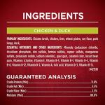 Protein-packed Wet Dog Food Variety Pack - Real Turkey, Venison, Chicken, and Duck