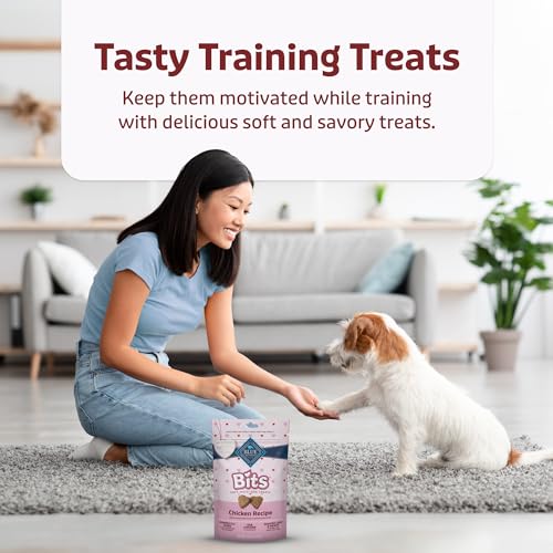 Blue Buffalo Chicken Training Treats - 4.5 oz