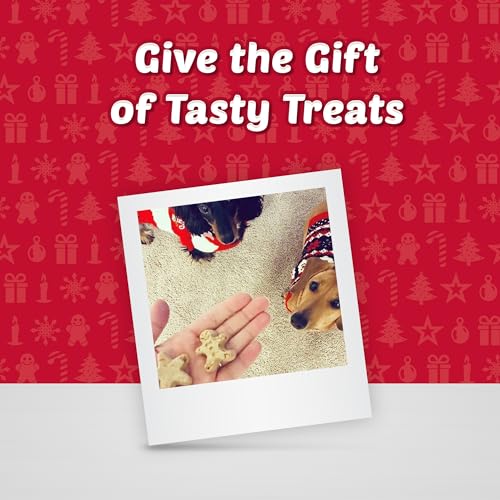 Blue Buffalo Oatmeal & Cinnamon Dog Treats 11-oz