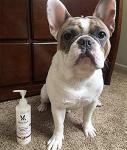 Warren London Pet Conditioner - Hydrating Butter for Dogs