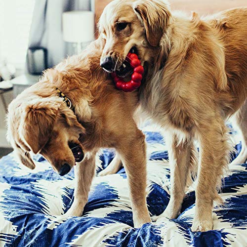 KONG Durable Rubber Ring Chew Toy - Small/Medium Dogs