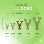 Benebone Wishbone Dog Chew Toy - Real Bacon, Medium