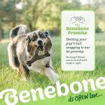 Benebone Wishbone Dog Chew Toy - Real Bacon, Medium