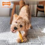 Nylabone Power Chew Dog Toy Philly Cheesesteak - Small/Regular