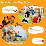 Large Squeaky Dog Toys for All Size Dogs