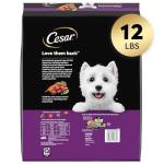 CESAR Small Breed Adult Dog Food, Filet Mignon Flavor, 12 lb