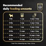CESAR Small Breed Adult Dog Food, Filet Mignon Flavor, 12 lb