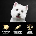 CESAR Small Breed Adult Dog Food, Filet Mignon Flavor, 12 lb